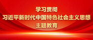 操笔网站学习贯彻习近平新时代中国特色社会主义思想主题教育_fororder_ad-371X160(2)